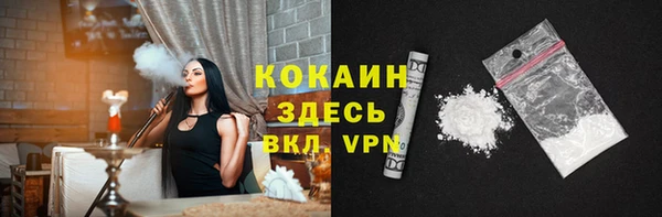 индика Баксан