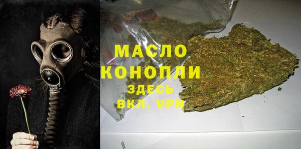 индика Баксан