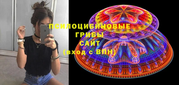 индика Баксан