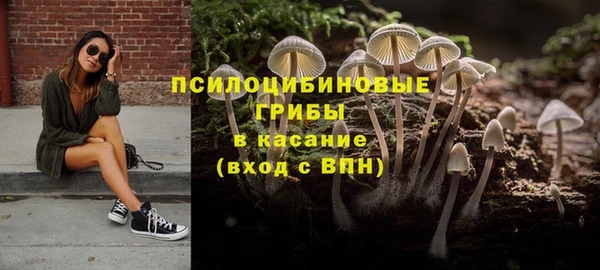 индика Баксан