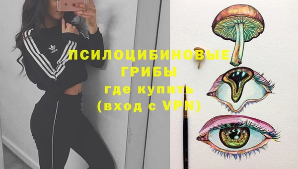 индика Баксан