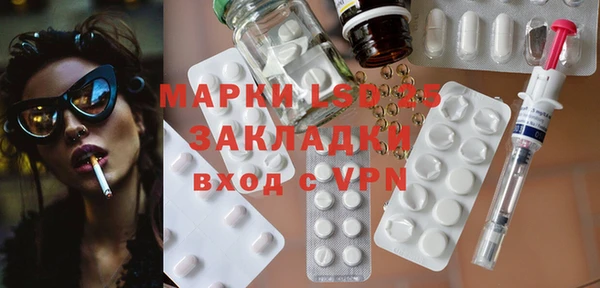 индика Баксан
