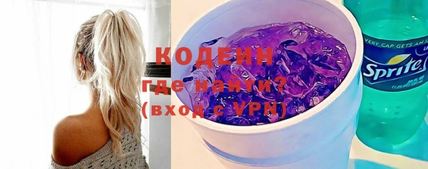 индика Баксан