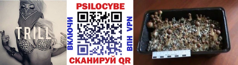Галлюциногенные грибы мухоморы сколько стоит hydra ссылки Белорецк